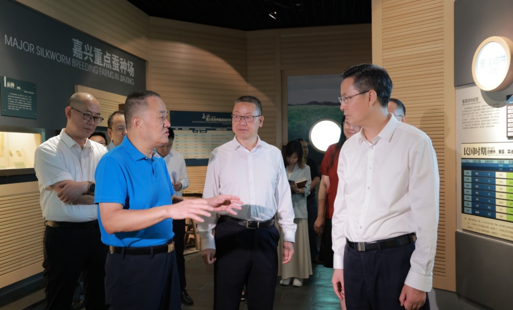 微信截图_20240927165704